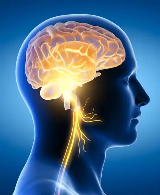 NEUROLOGY